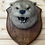 Thumbnail: Otter Mask L.O.H, Tivy, 1911