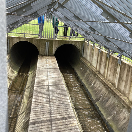 retention basin for the Kings Meadows Rivulet at the high school oval visited in the source to sea excursion