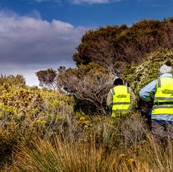Gardening for Biodiversity Workshop and the Launch of the Tamar Valley Weed Brochure