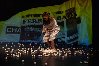 terra mar tartaruga 9 (bob sousa).jpg