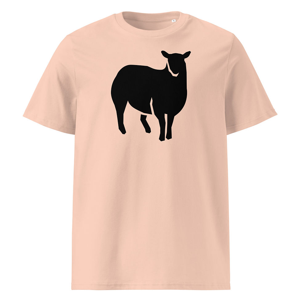Thumbnail: Black Sheep unisex organic cotton t-shirt