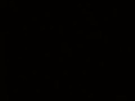 Las Bartenders:cuando servir tragos no basta y también se sirven verdades