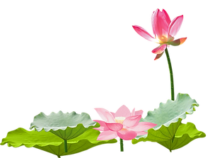 lotus-clipart-lotus.png