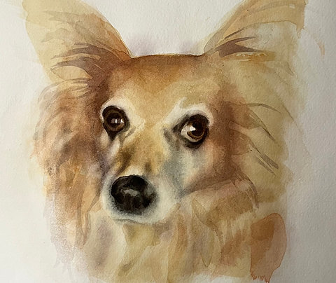 Custom Pet Portrait, Full Color, 9"x12"