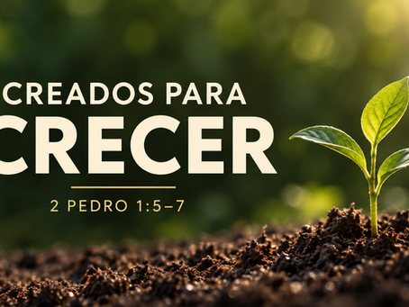 Afecto Fraternal & Amor