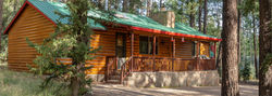 Greer Cabin 4-2