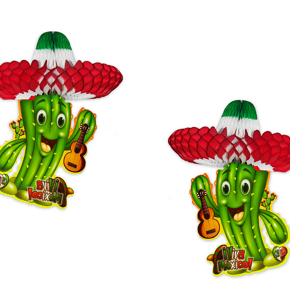 Miniatura: Cactus con sombrero