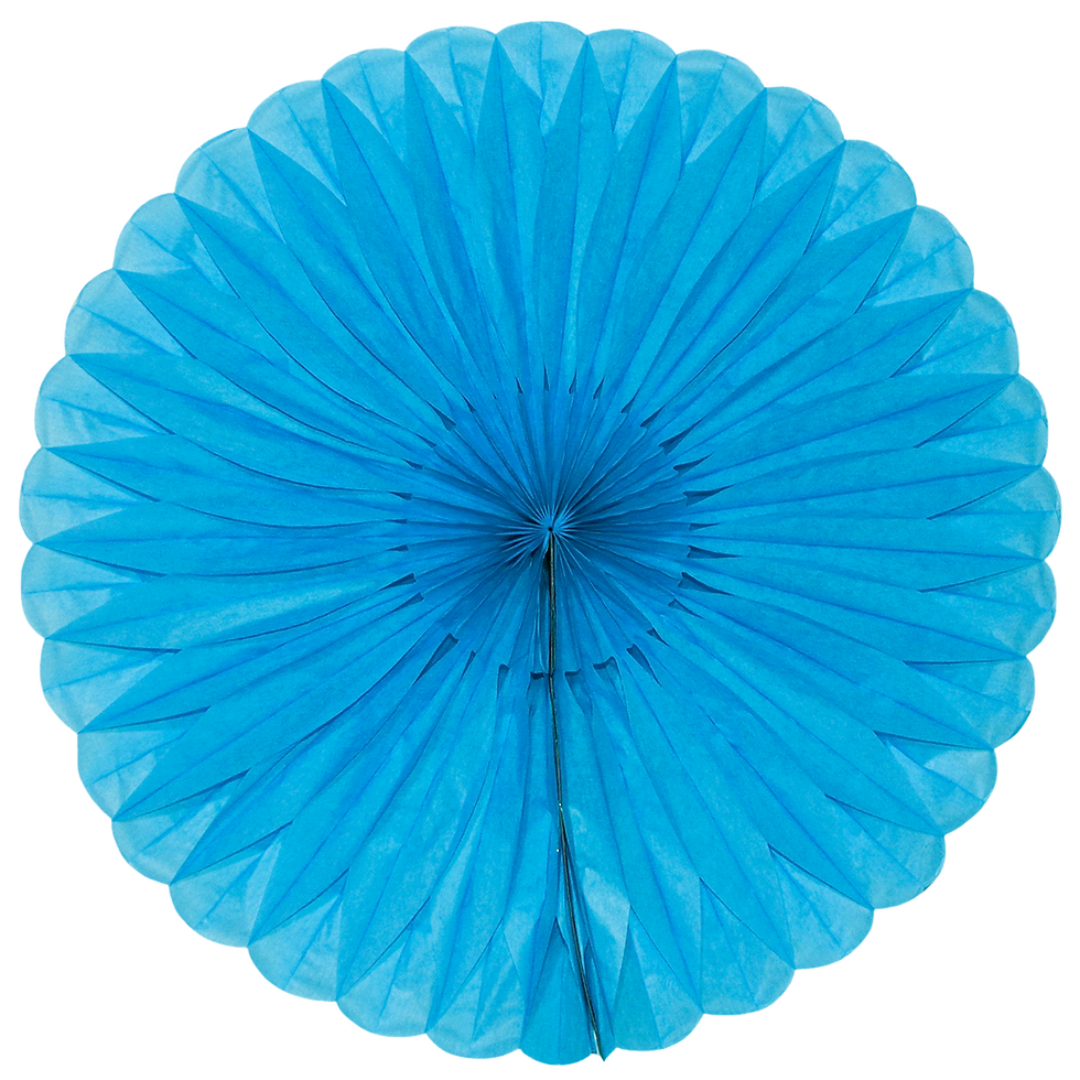 Miniatura: MARGARITA PLEGABLE