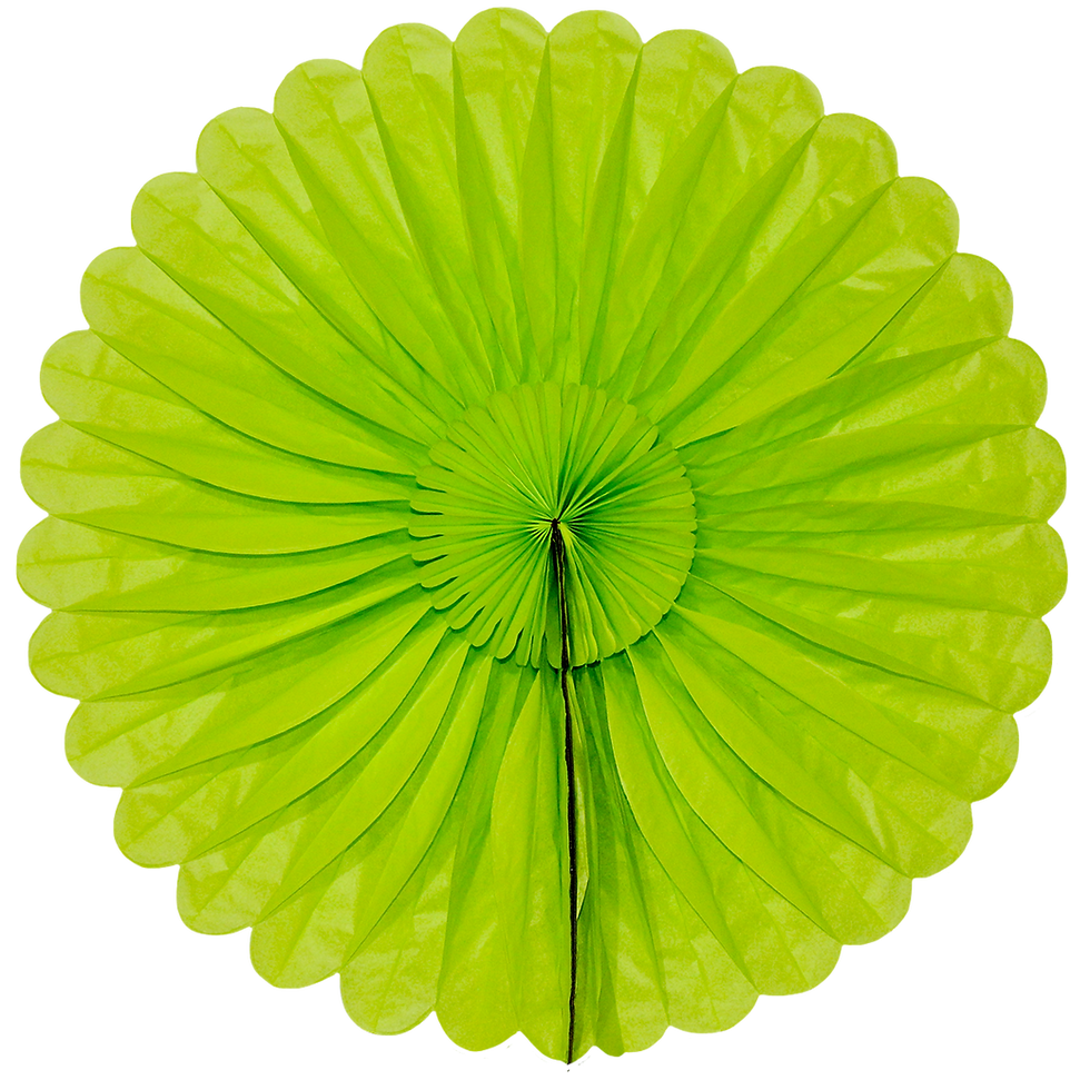 Miniatura: MARGARITA PLEGABLE