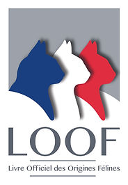 LOOF