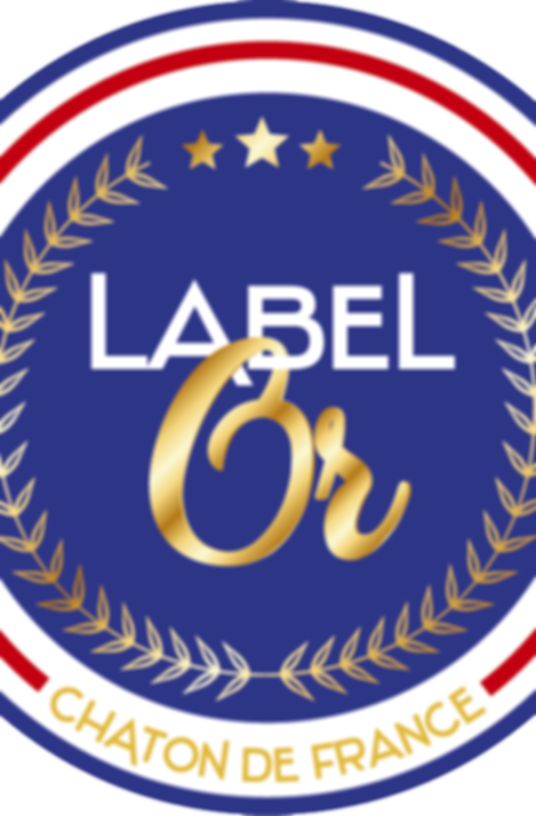 LABEL OR CHATON CHATTERIE LA MAISON DU MAINE