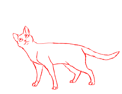 unnamed (1).gif