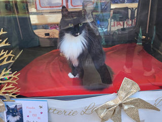 Exposition Nîmes Mars 2023