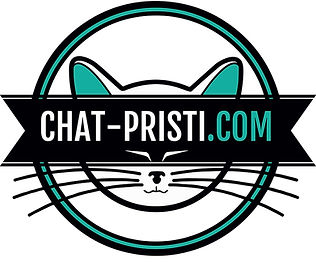 Chat-Pristi