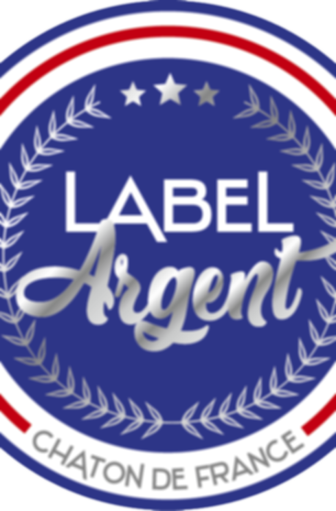 LABEL ARGENT CHATONS CHATTERIE LA MAISON DU MAINE