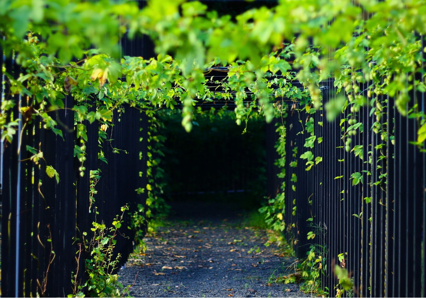 北海道 札幌 建築家 札幌の建築家 札幌の設計事務所 一級建築士 GLA  注文住宅 新築デザイン ショップデザイン 店舗デザイン リノベデザイン 札幌の高級住宅 札幌の高級注文住宅 ニセコ niseko 宮の森 円山 帯広 森のパン カフェデザイン