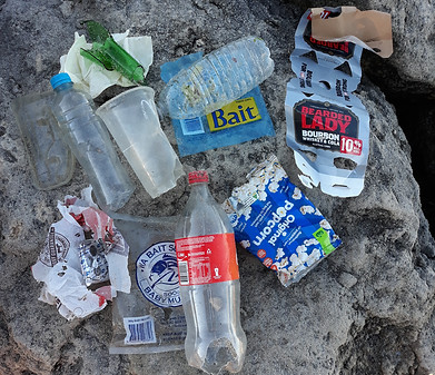 20180902_sr5 072529.jpg