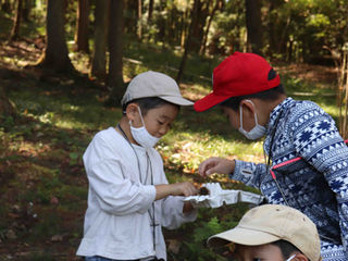 里山くらぶ〜森の巻〜