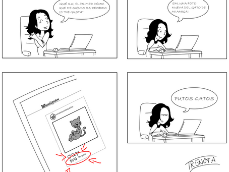Gatos instagramers