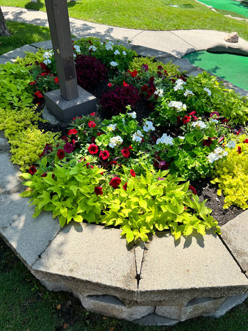 Beautiful landscaping alongside the greens at the Links at Dred Scott