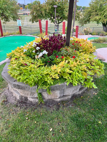 Beautiful landscaping alongside the greens at the Links at Dred Scott