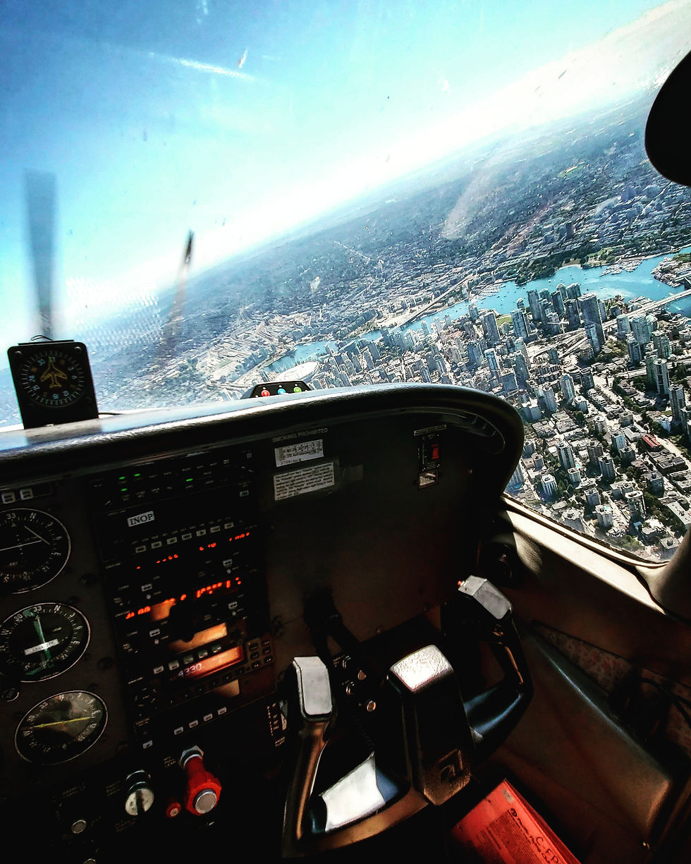 Licensed Pilot’s Program