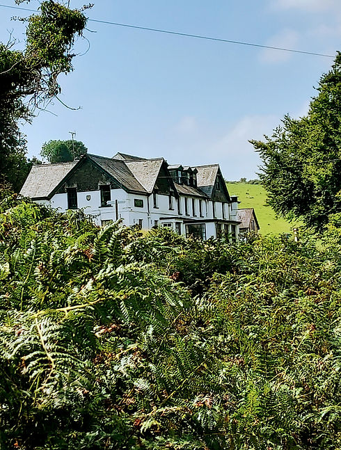 20210903_141714.jpg