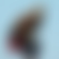 Prosjektstyring på rett nivå