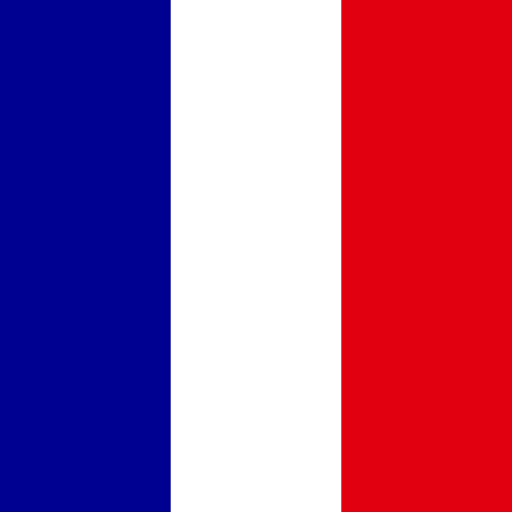 french flag representing french language learning
