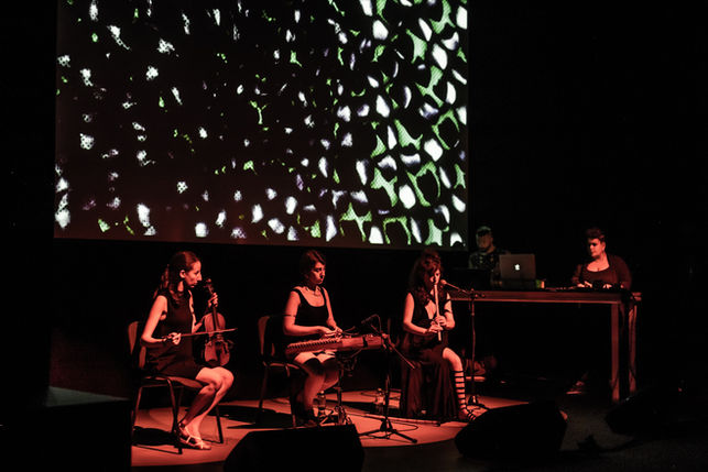 RUSNAM_ctrl.xx.tension_photo by Maciej Zakrzewski (s)_4.JPG