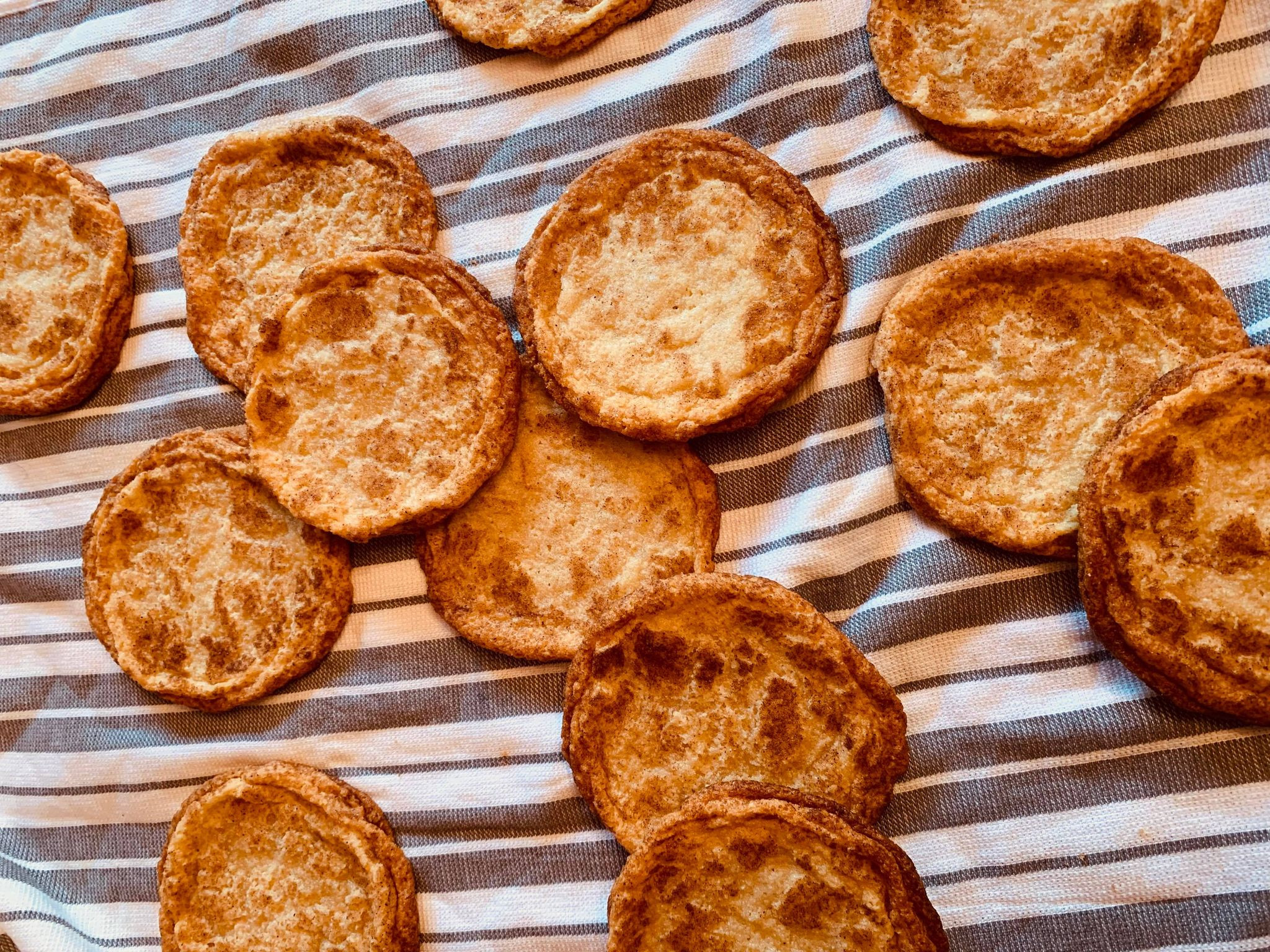 Snickerdoodle Cookie