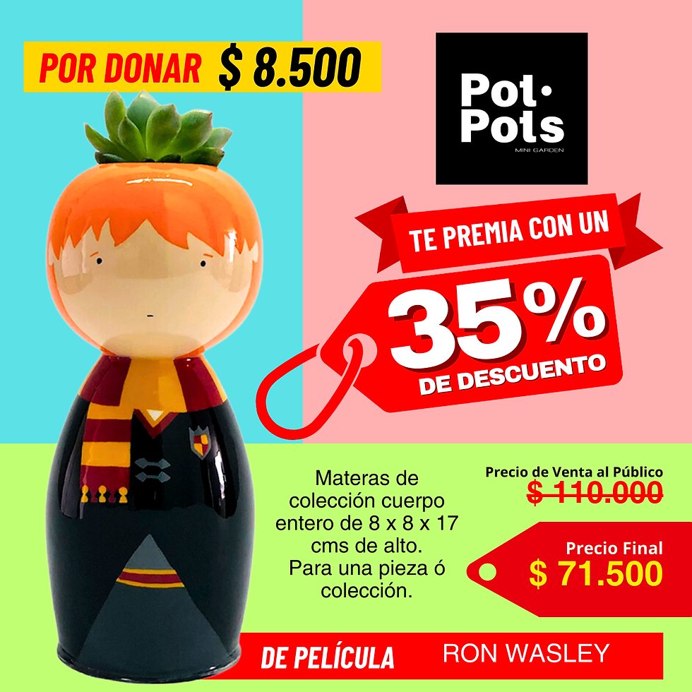 Miniatura: Pot-Pots "De Película 2" te Premia con un Bono del 35% Descuento