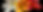 Flowers%20for%20banner_edited.jpg