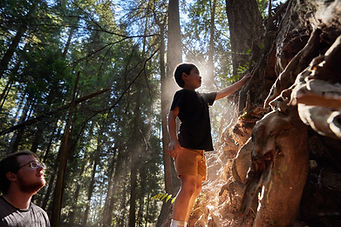 child looking at roots of a tree