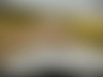 The Wheels on the Bus of Life, Don’t Go Round n Round