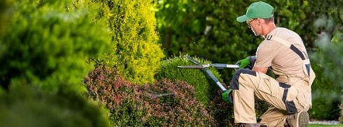 Garten_.jpg