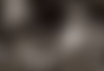 茶粹 ◇ 說茶 001 | 工夫茶