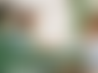 Descubra as Vantagens de Investir em Imóveis em Guarapari