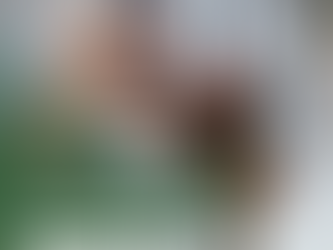 Passo a Passo para Comprar seu Primeiro Imóvel