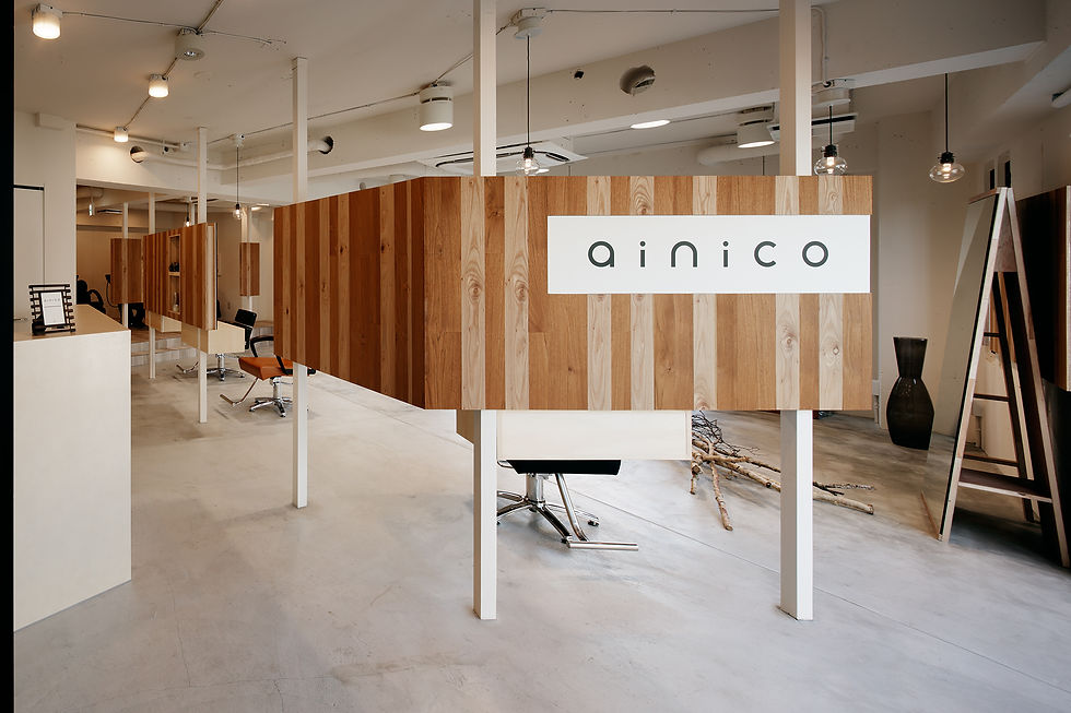ainico