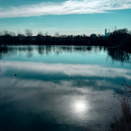 The Reservoir: