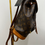 Thumbnail: Montsouris MM backpack