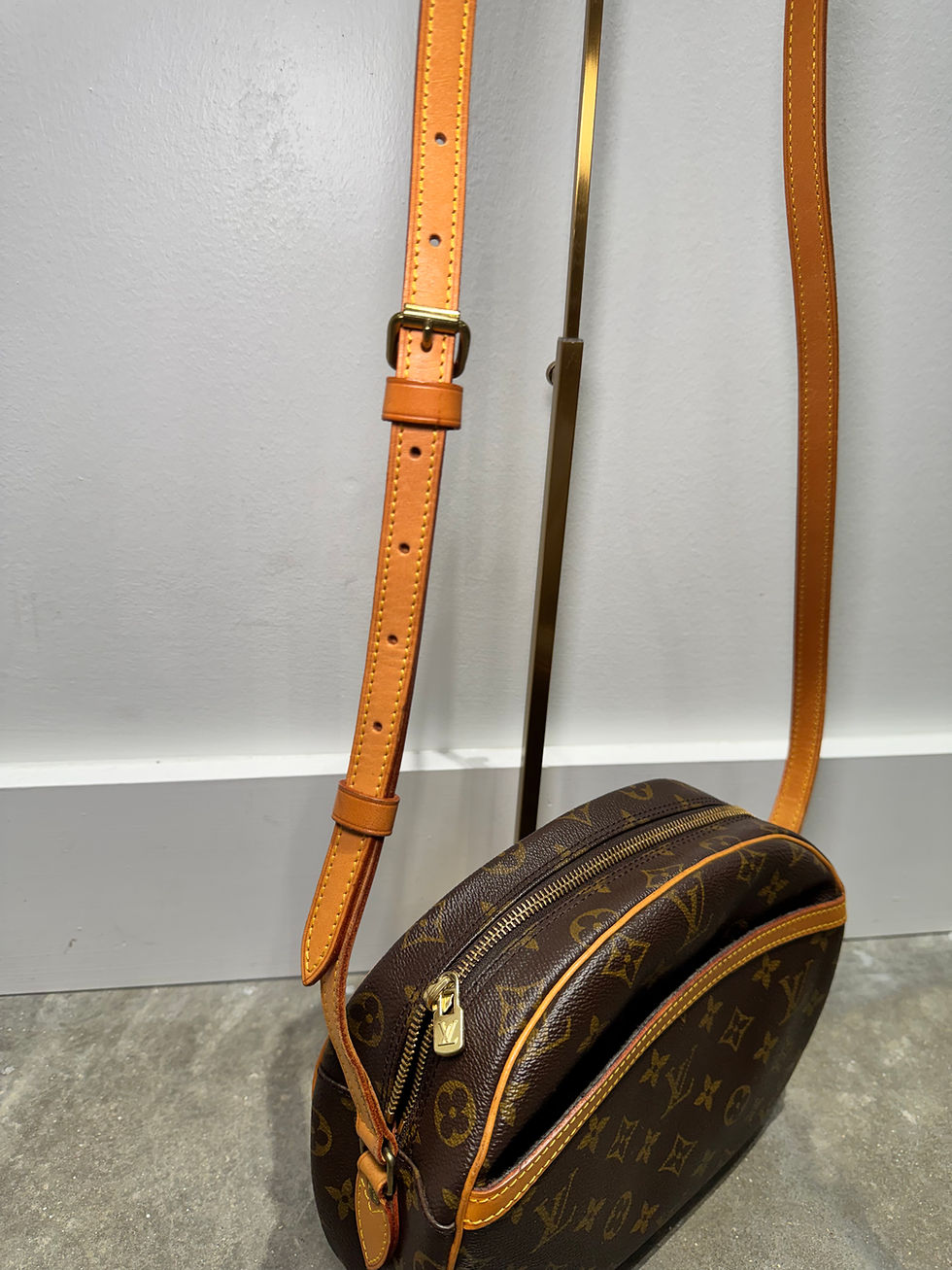 Thumbnail: Louis Vuitton Blois Monogram