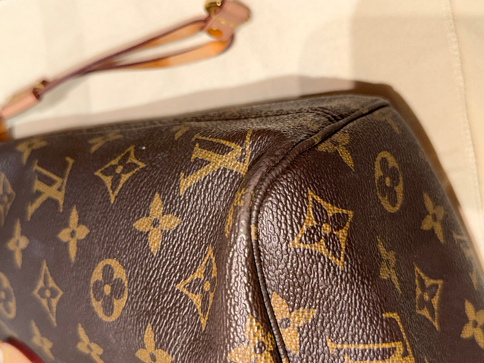 Thumbnail: Neverfull PM