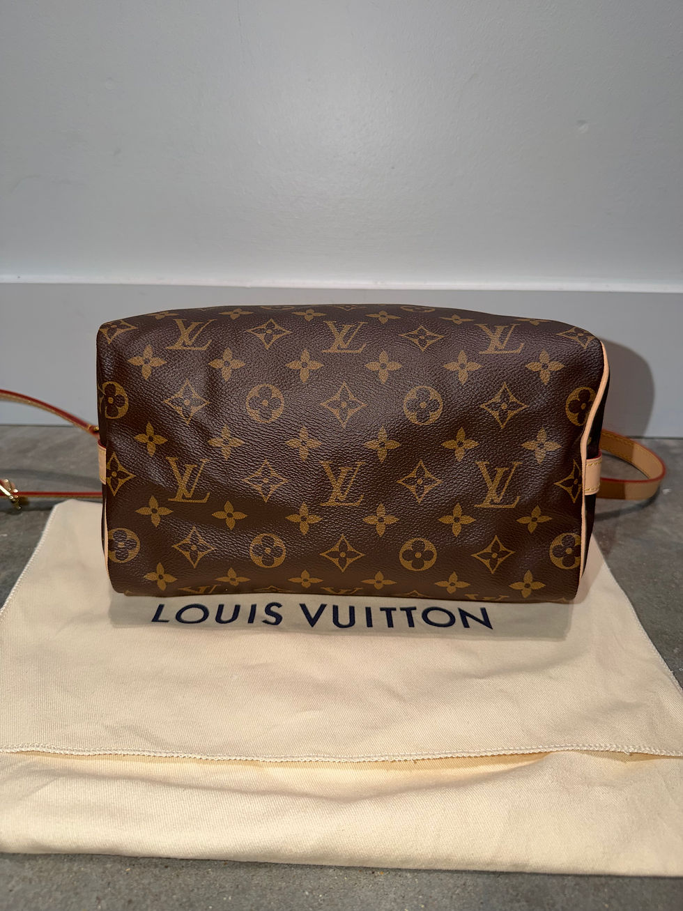 Thumbnail: Speedy 25 bandouliere monogram 