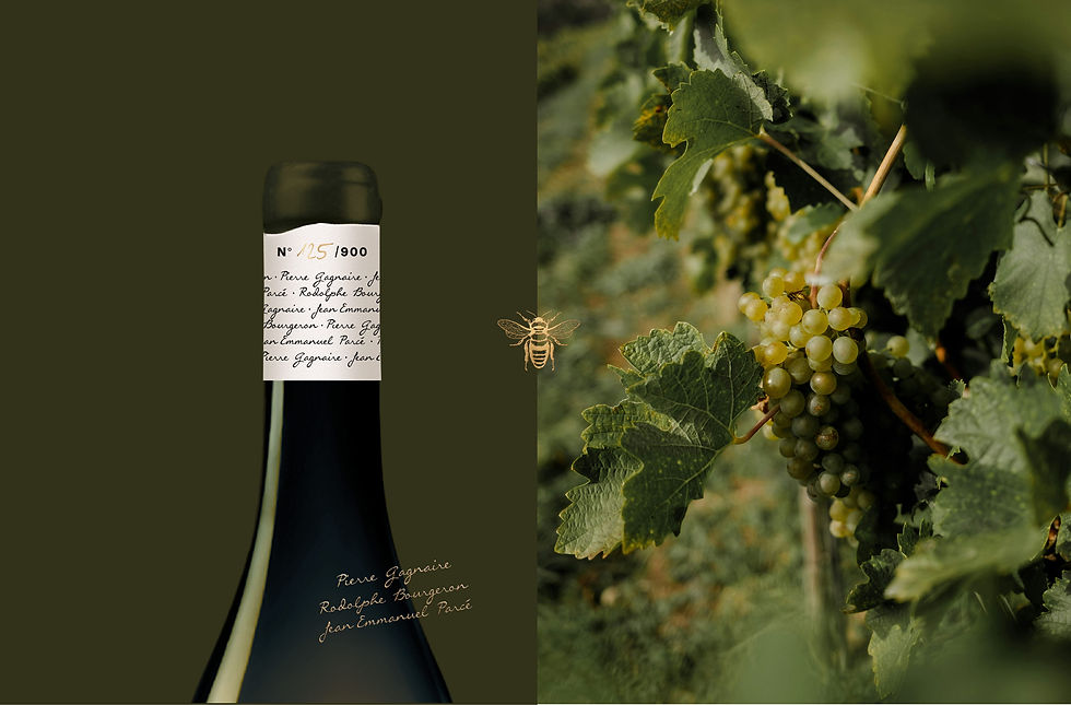 Plan de travail 6_2x-100.jpg