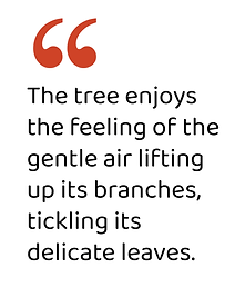 Quote8.png