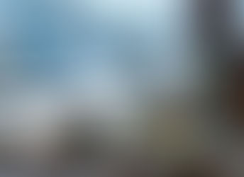 Which foods are recommended by Traditional Chinese Medicine (TCM) for the winter? ❄️🥣