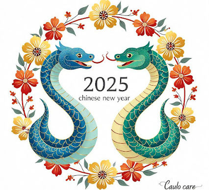 What are the general characteristics of the snake zodiac?