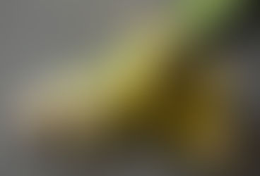 Is lemongrass actually good for you?